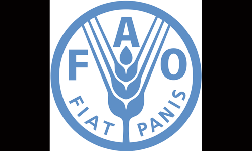 FAO reviews progress on EU-funded projects