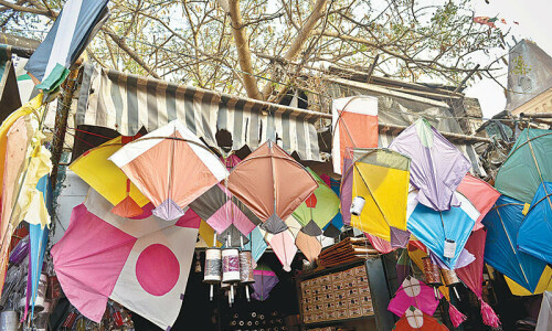 Punjab passes bill for complete ban on kite flying Punjab passes bill for complete ban on kite flying
