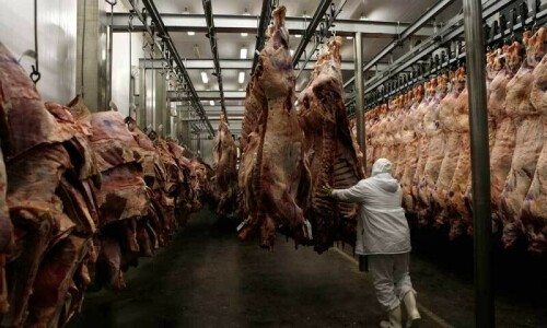 Full activation of Rawalpindi’s Sihala slaughterhouse ordered Full activation of Rawalpindi’s Sihala slaughterhouse ordered