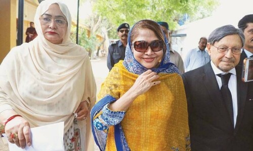 Faryal given clean chit in fake bank accounts case