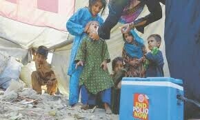 Poliovirus detected in samples from three districts in Sindh
