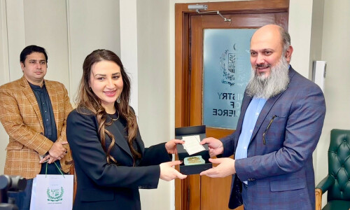US official, commerce minister discuss investment US official, commerce minister discuss investment