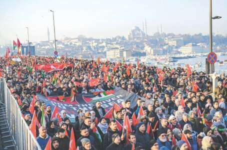 Gaza population down by 6pc since start of conflict Gaza population down by 6pc since start of conflict