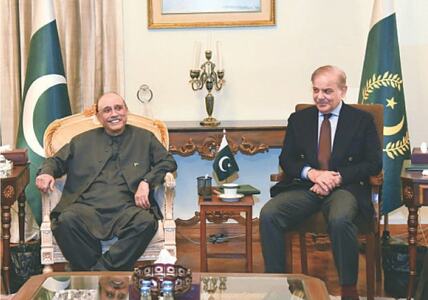 Analysis: PPP, PML-N marriage of convenience likely to endure