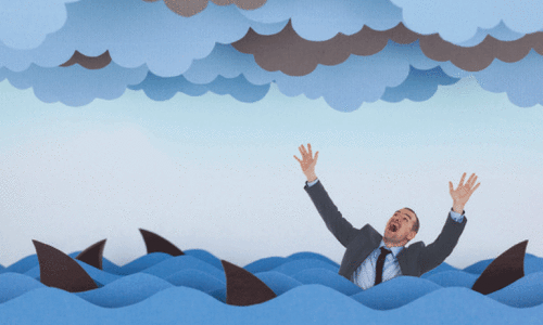 Adapting economically