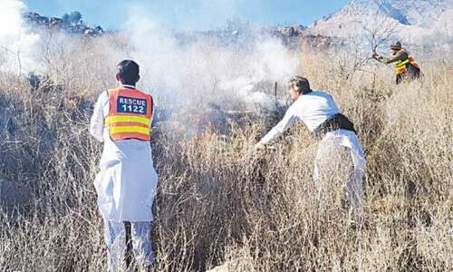 Fire erupts in KP&rsquo;s Koh-i-Suleman forest