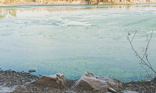 CDA asked to check Dhoke Sandaymar Dam&rsquo;s contamination