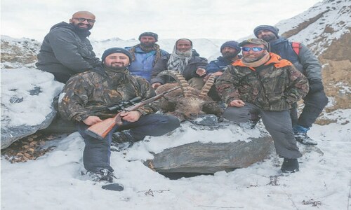 Upper Chitral records first-ever licensed hunt of ibex
