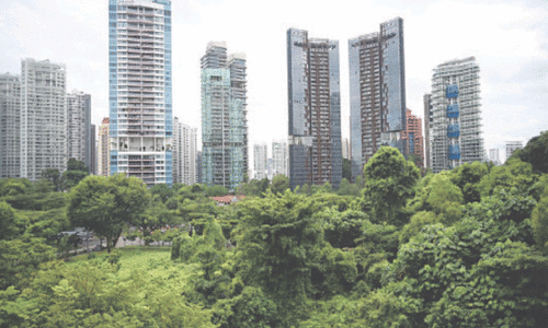 Why is there a forest in the middle of Singapore?