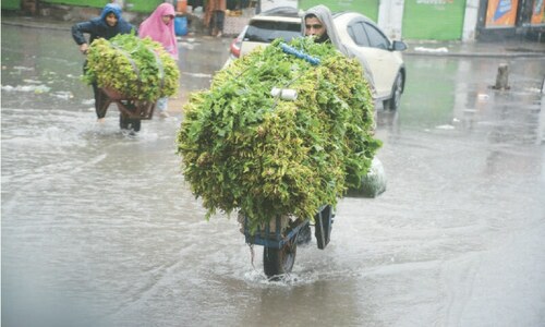 Rain, snowfall end prolonged dry spell in Lower, Upper Dir