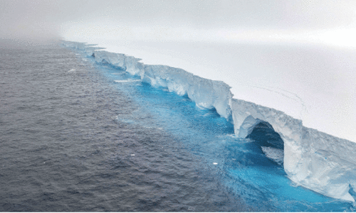&lsquo;White wall&rsquo; of ice drifting towards  penguin haven