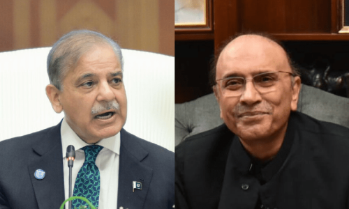 PM Shehbaz, President Zardari urge global action as country observes Kashmir Solidarity Day