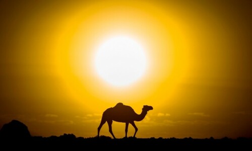 Year begins with warmest January despite shift towards cooling La Nina