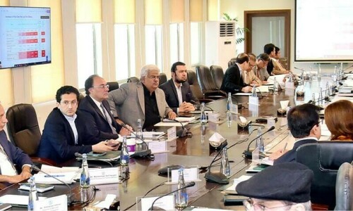 ECC orders transfer of Discos shares to president, approves New Development Bank membership