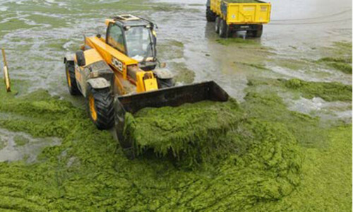 Biomethane gas project opened in Karachi’s Malir Biomethane gas project opened in Karachi’s Malir