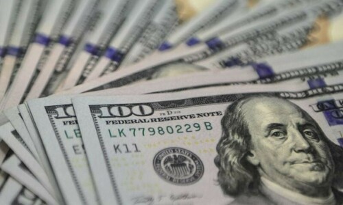 Foreign debt inflows plunge 38pc in July-Jan