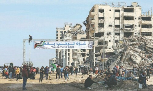 Gaza Arab plan may involve up to $20bn contribution