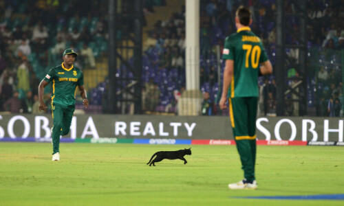 Fans, favourites, and a feline: Afghanistan’s Champions Trophy debut in Karachi Fans, favourites, and a feline: Afghanistan’s Champions Trophy debut in Karachi