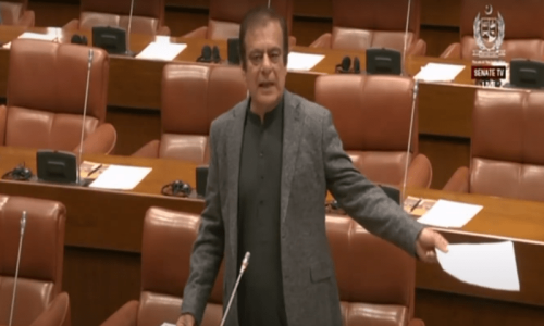 Senators take issue with deputy chairman&rsquo;s attitude