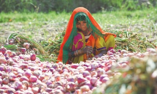 Farm food safety — tackling the root Farm food safety — tackling the root
