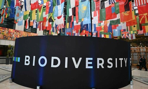 Nations spar over nature funding  at UN talks