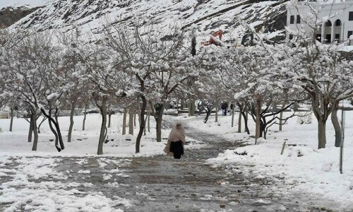 Three buried beneath snow avalanche in Neelum Valley