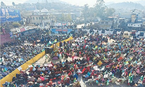 Kashmir march calls for unity in freedom struggle