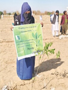 Drive launched to plant thousands of saplings in various districts