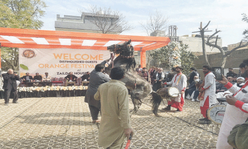 Foreign diplomats attend festival showcasing Pakistan’s culture in Taxila Foreign diplomats attend festival showcasing Pakistan’s culture in Taxila