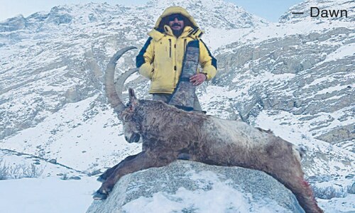 Chitral man conducts first-ever licensed hunt of ibex