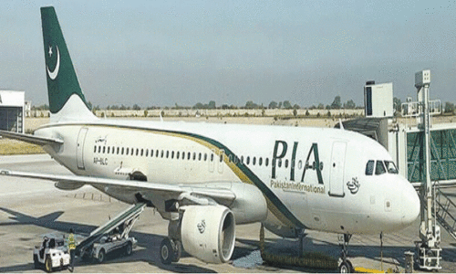 Govt takes World Bank on board over delaying PIA divestment