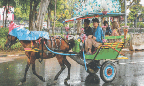 Jakarta&rsquo;s last carriage horses endure harsh lives