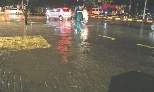 Rain spell maybe too little, too late for wheat crop