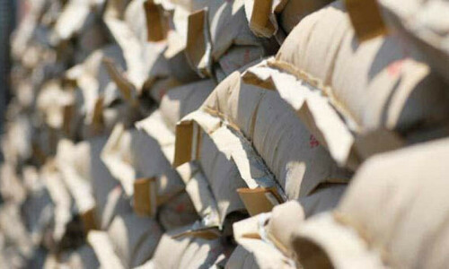 Industry in jeopardy as importers bypass anti-dumping tariffs