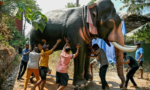 Model behaviour: Anti-cruelty robot elephants rolled out in India