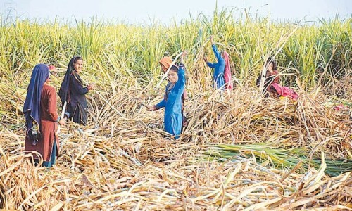 Innovation being encouraged to ensure food security: secretary Innovation being encouraged to ensure food security: secretary