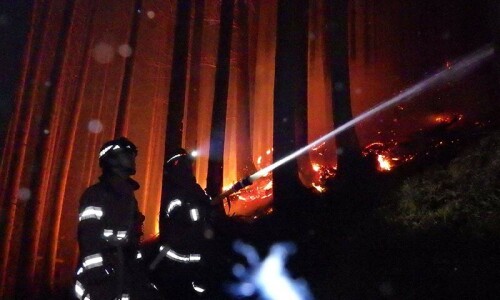 Japan&rsquo;s worst wildfire in 50 years makes 4,000 homeless