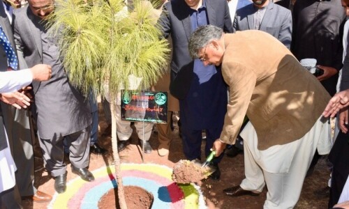 AJK prime minister reaffirms zero-tolerance policy on deforestation