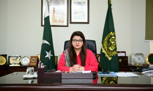 Pakistan bridging gender gap in digital economy: IT minister