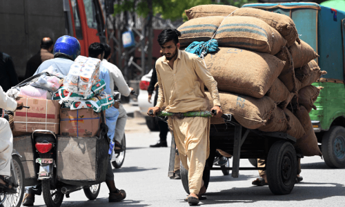 Punjab&rsquo;s Model handcart project faces corruption allegations