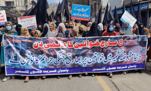 Protesters highlight plight of women in occupied Kashmir
