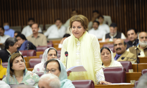 Women showed commitment to shaping legislative priorities, says Fafen Women showed commitment to shaping legislative priorities, says Fafen