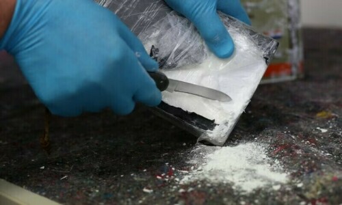 Afghan meth poses &lsquo;challenge for neighbours&rsquo;