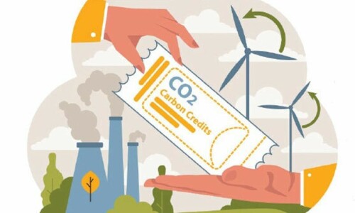 Trading carbon, building resilience