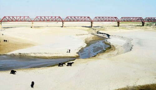 Water shortage in Sindh hits 50pc mark, threatens Kharif crops Water shortage in Sindh hits 50pc mark, threatens Kharif crops