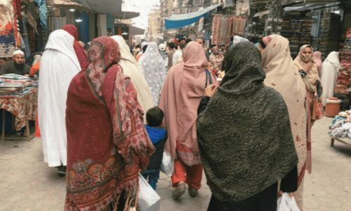Gender, mobility and shopping: The changing norms in Dir Gender, mobility and shopping: The changing norms in Dir