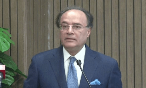 Climate change has already hit livelihood of millions in Pakistan: finance minister