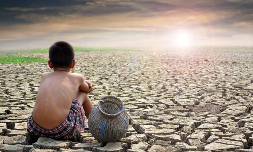 NA panel reviews issues related to climate change governance