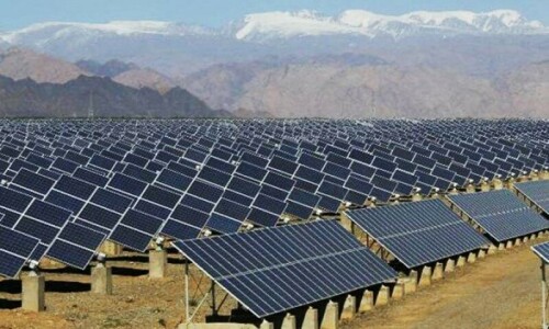 Global renewable power capacity skyrockets in 2024: report