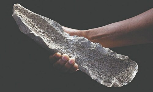Human ancestors made &lsquo;bone tech&rsquo; 1.5m years ago, say scientists